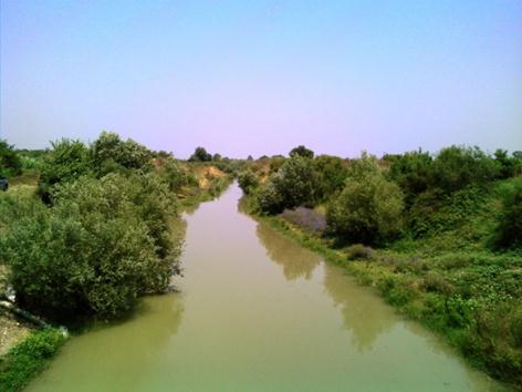 Bitki Koruma Ürünlerinin Kullanımı Neticesinde Meydana Gelen Su Kirliliğinin Tespiti ve Madde veya Madde Grubu Bazında Çevresel Kalite Standartlarının