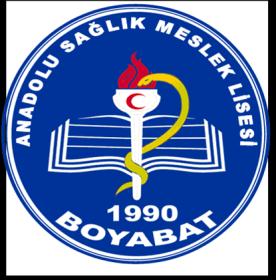 BOYABAT ANADOLU SAĞLIK MESLEK