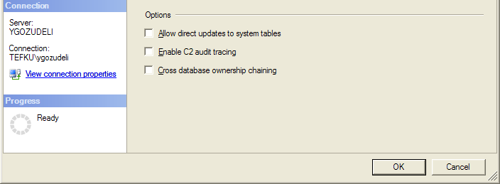 Yetkilendirme Modları Windows Only Sadece Windows kullanıcıları yetkilendirilebilir!