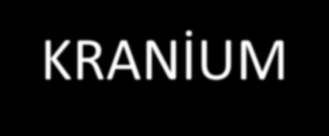 ANATOMİK ve FİZYOLOJİK FARKLILIKLAR KRANİUM Bebek ve yürüme çağındaki çocukların erişkinlere oranla daha büyük