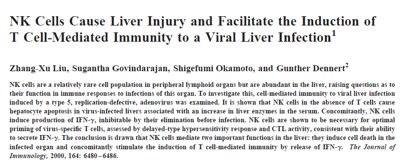 NK hücreleri karaciğerde E2 çok sayıda bulunur ve interferon-γ dendritik ve diğer hücrelerin sitokinlerin NK