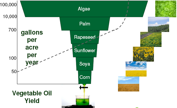 Yıllık üretim bazında bioyakıt kaynaklarının karşılaştırılması Yağ kaynağı Yağ üretimi (l/ha) Soya