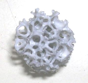 (ppi; porous per inch), sırasıyla 10, 20 ve 30 (±)3 olarak verilmiştir. Numune modellerinin ölçüleri 12 mm çapında ve 14 mm boyunda olacak şekilde hazırlandı.