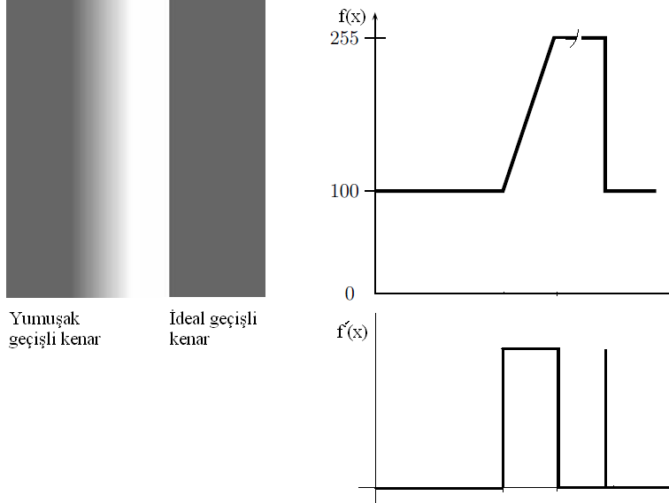 Gradient (1.