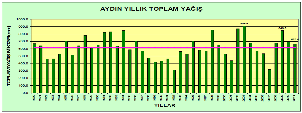 32 Ege Bölgesinde ve Aydın ili bitki örtüsünde yaygın orman ağacı Kızılçam (Pinus brutia) ve Karaçam (Pinus nigra) dır. Kızılçamlar Aydın ve Menteşe Dağlarının güney yamaçlarında 800 m.