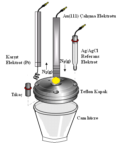 30 Şekil 3.1. Çalışmalarımızda kullanılan üç elektrotlu kapalı tip bölünmemiş hücrenin şematik gösterimi 3.1.2. Elektrotlar Üç elektrotlu bir hücrede çalışma, karşıt ve referans (Skoog et al.