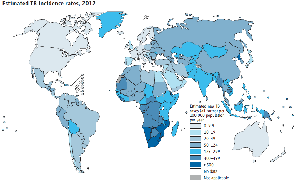 Global Tuberculosis Report