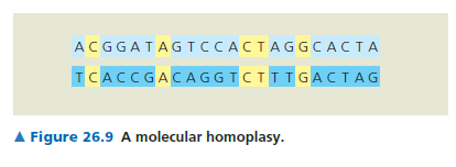 Böylece, taksonlar arasında görülebilen ve homoplazi (Homoplasy) adını alan rastlantısal
