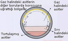 Kanalizasyon Borularında Aşınma Süreci: H 2 S gazı kanalizasyon sularında açığa çıkar. Bu gaz nem ile birlikte boru yüzeyine tutularak absorbe edilir.