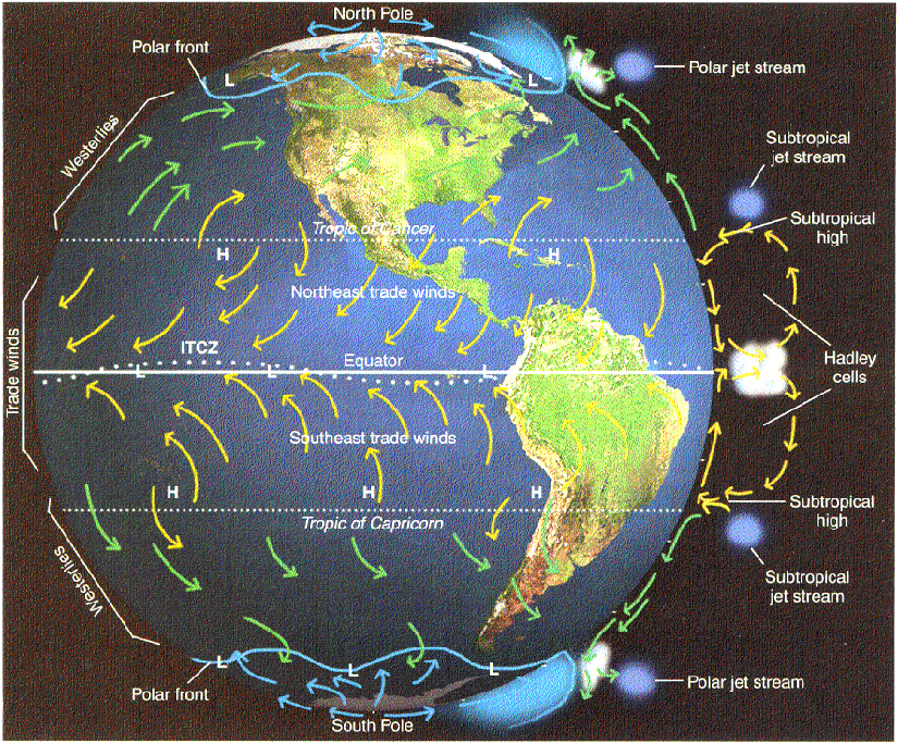 8.1 Coriolis Kuvveti Dünyayla birlikte hareket eden havanın çizgisel hızının enlemlere göre farklı olmasından kaynaklanır. Ekvatordaki hava 24 saatte 40.000km katederken 60 enleminde bu mesafe 20.