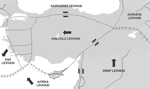 olmasının nedenidir (Çelik R. N., vd., 2002; Ayan T., Deniz R., Çelik R.N.,vd., 2002).