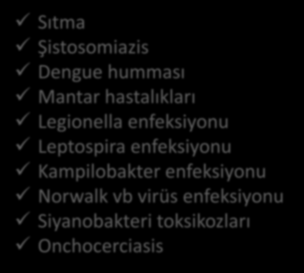 Mikrobiyolojik Kirlilik Biyolojik etkenlerden kaynaklanan hastalıklar; İshal Dizanteri Giardiyaz Barsak parazitozları Dracunculiasis Tifo ve paratifo Yersinya enfeksiyonu Kolera Hepatit A ve E Trahom