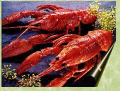 Kerevit vebası (Crayfish aphanomyciasis, La peste, Krebspest, Kraftpest) Tatlı su istakozu;