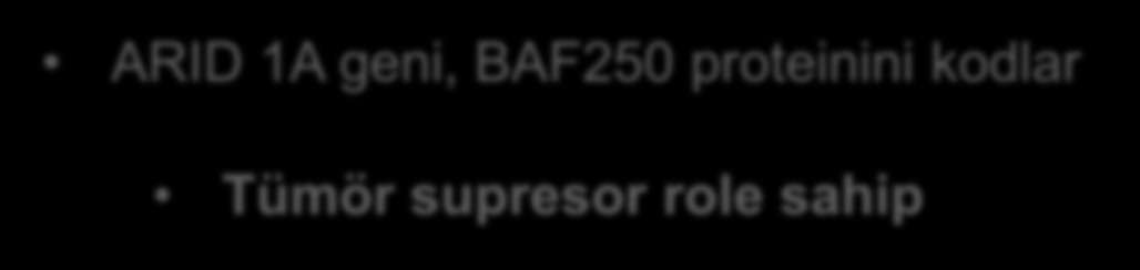 2 Moleküler Kanıtlar ARID 1A ARID 1A geni, BAF250 proteinini kodlar Tümör supresor role sahip ARID 1A mutasyonu ve Baf 250 protein eksp.