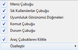 Başlık Çubuğu Pencerenin en üstünde yer alır ve üzerinde WEB sayfası ile ilgili tanımlanmış bilgiler görüntülenir.