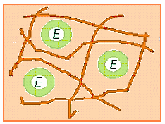 2. KAYNAK ÖZETLERİ substratların enzime zorlukla tutunmaları ve taşıyıcıların yeniden elde edilemez olması yöntemin dezavantajlarındandır (Kasavi 2006).