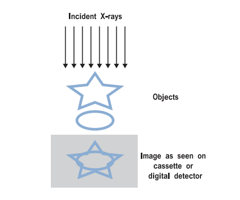 localization, diagnostic and screening accuracy, and contrast enhanced 3D imaging. In Figure 1.