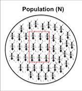 Örnekleme ve Örnekleme Bilgisi Evren (Population); Araştırma sonuçlarının genellenmek istendiği