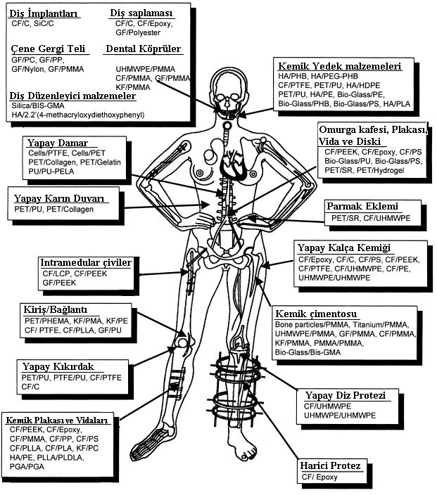 lifler, bazen de mika ve çeģitli toz seramikler vücut içi uygulamalarda güvenle kullanılabilir [10]. Vucutta kullanılan çeģitli kompozitler ve kullanım yerleri ġekil 2.