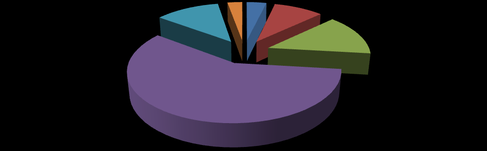 Personelimizin yaş aralığına göre dağılımına gelince; Başkanlığımız personelin % 27 si (29 kişi) 20 ile 29 yaş arasında, % 35 i (38 kişi) 30 ile 39 yaş arasında, % 18 i (20 kişi) 40 ile 49 yaş