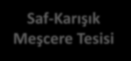 Saf-Karışık Meşcere Tesisi Tek türden oluşan ağaçlandırma alanlarının tesisi ve bakımı kolaydır. Ancak karışık tesis, başarısızlık riskini azaltır.