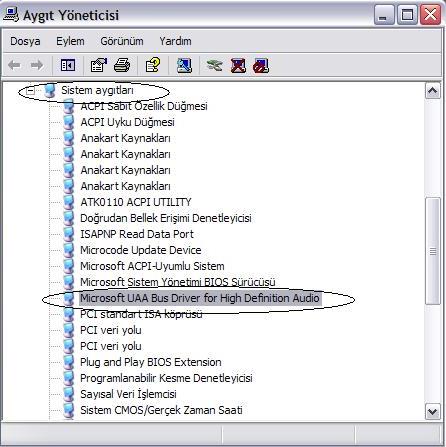 Adapazarı Meslek Yüksekokulu 22 Günümüzde aygıtların çoğu tak ve çalıştır özelliğine sahip olduğundan, bu tür cihazlar bilgisayara bağlandığında işletim sistemi tarafından otomatik olarak tanınırlar.