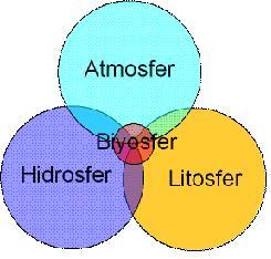BIYOSFER (EKOSFER) Biyosfer, yerküredeki 17 km kalınlığındaki canlı biyolojik madde tabakasıdır