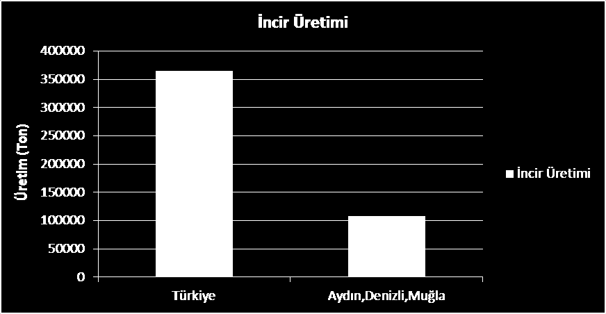 3.2.İNCİR İncirin anavatanı Türkiye olup, buradan Suriye, Filistin ve daha sonra da Ortadoğu üzerinden Çin ve Hindistan a yayılmıştır.