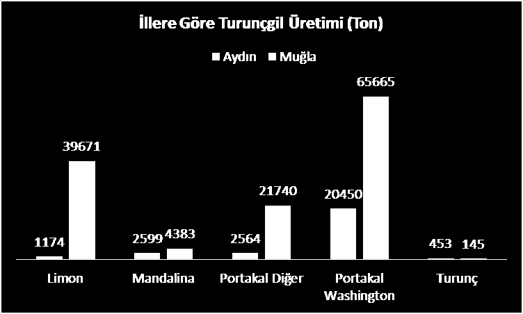 3.3.TURUNÇGİLLER Turunçgil ürünlerinde portakal, mandalin, limon, turunç ülkemizde önemi zaman içinde artan kültür bitkileridir.