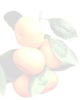 Köyceğiz ilçesinde 2008 yılında mandalina (clementin) üretimi 1875 ton olmuştur.