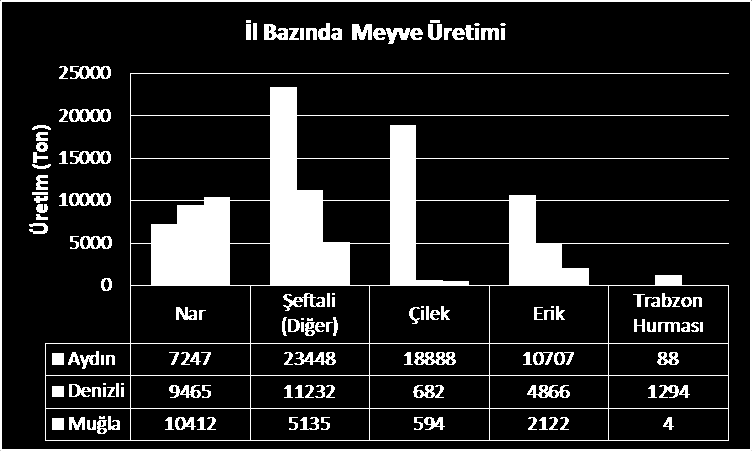 3.4.DİĞER MEYVELER- TAŞ ve YUMUŞAK ÇEKİRDEKLİLER 3.4.1.