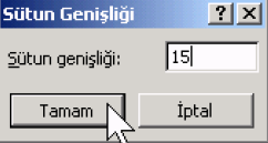 Veri Girmek ve Biçimlendirmek Sütun başlıklarının olduğu bölümde A ve B sütunu arasındaki çizgiye