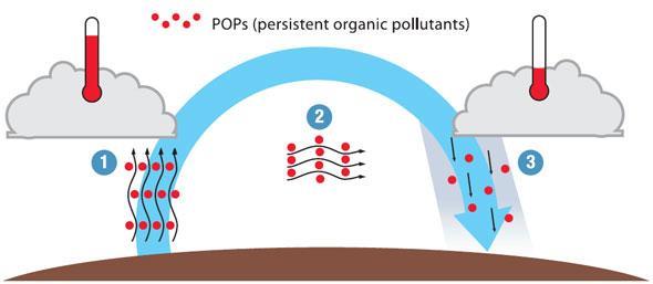 Kalıcı Organik Kirleticiler (POP) Küresel
