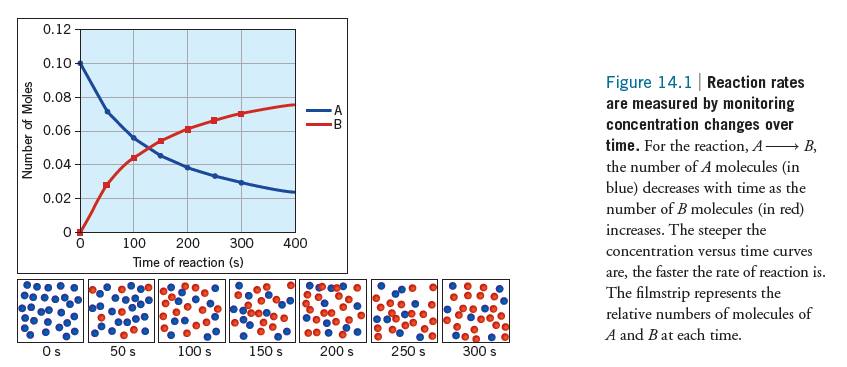 Tepkime Hızı(TH) = Örneğin, 4 NH 3 (g) + 5 O 2 (g) 4 NO (g) + 6 H 2O (g) tepkimesinde hız, NH 3,O 2, NO, H 2O derişimleri için ayrı ayrı yazılabilir.