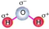 Suyun yapısındaki oksijen, hidrojenle oksijen arasında bağ yapan elektronları kendisine daha fazla çektiğinden negatif (-) yükle yüklenir.