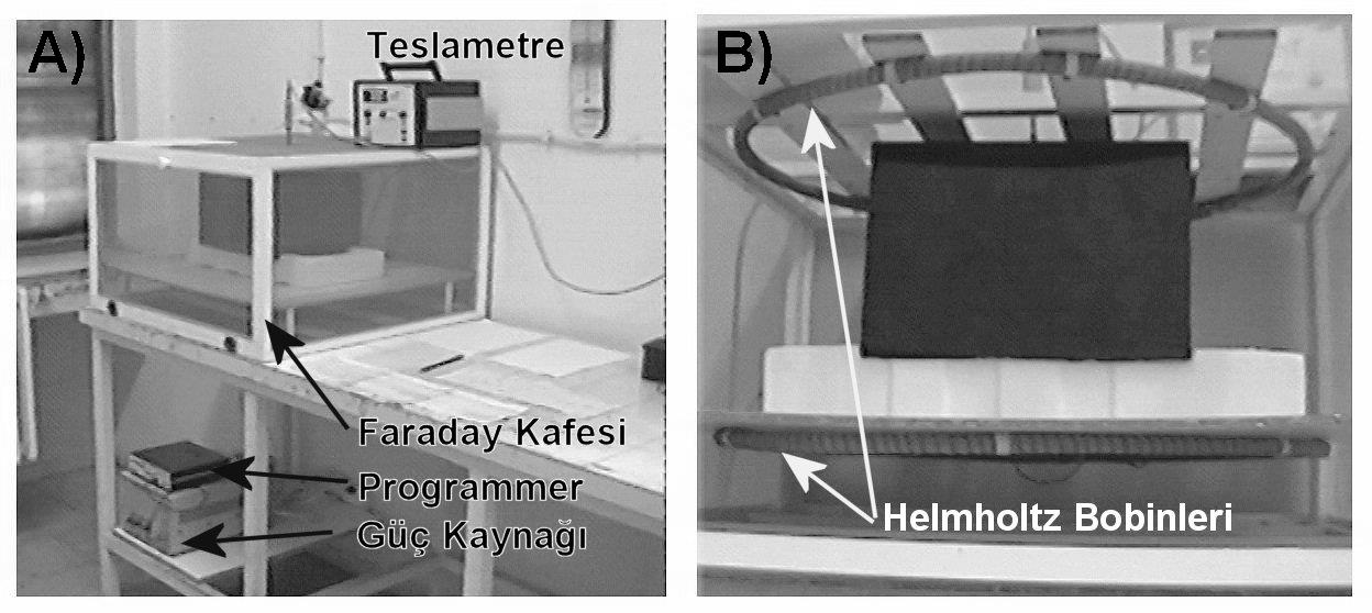 EK-5. A) Pulslu manyetik alan (PMA) uygulanmasında kullanılan sistemin genel görünüşü B) Pulslu manyetik alan oluşturan Helmoltz bobinlerinin bulunduğu ve sıçanların konulduğu siyah kutunun bulunduğu