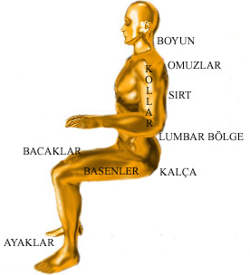 Kemal YILDIRIM, Özlem KASAL / POL*TEKN*K DERG*S*, C*LT 8, SAYI 3, 2005 zaman faktörünün, vücudun 10 farkl bölgesini etkileyi-i belirlenmi-tir.