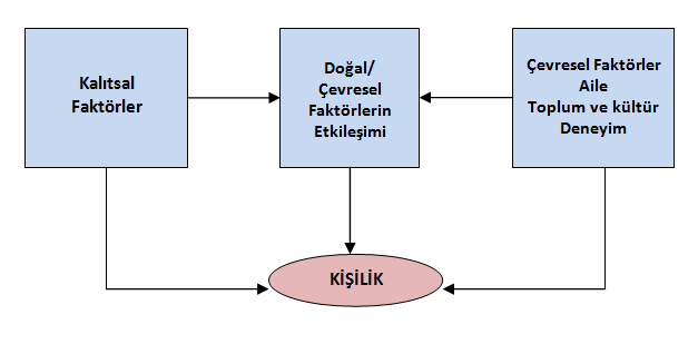 DAVRANIŞ BiLiMLERi VE ETİK ÜNİTE 10 GİRİŞ Her birey kendine özgü bilgi, beceri, yetenek, tutum, değer, algılama şekli ve kişiliğe sahiptir.