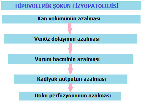 ÖĞRENME FAALİYETİ 2 ÖĞRENME FAALİYETİ 2 AMAÇ Hipovolemik şokta acil yardım uygulayabileceksiniz. ARAŞTIRMA Hipovolemik şokun nedenlerini ve belirtilerini araştırarak sunu hazırlayınız.