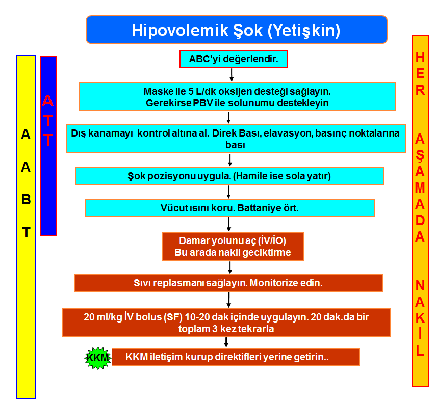 Şekil 2.1: Hipovolemik şok (yetişkin) algoritması Çocukta hipovolemik şokta acil yardım: Hasta çocuğun damar yolu açılır. 90 sn. içinde IV yol açılamıyorsa IO yol açılır.