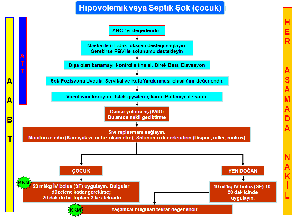 Şekil 2.