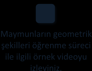 Örnek Örnek Öğrenme Psikolojisi II Matematik problemi çözmek, Newton un yer çekim kanunu bulması, Arşimet in suyun kaldırma kuvvetini bulması gibi tüm icatlar kavrayış yoluyla öğrenmedir.