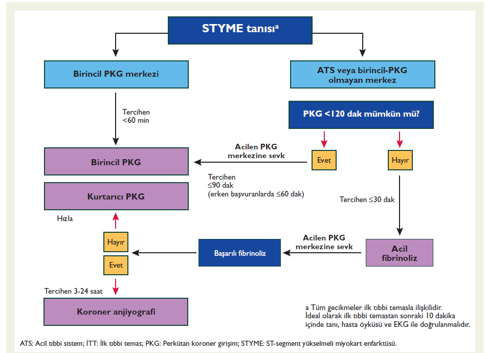 mortalite yararı en yüksektir. Pek çok sayıda çalışma, tedavi süresi ve sağ kalım arası ters ilişkiyi göstermiştir. Bu ilişki primer PKG'e göre fibrinolitik tedavi ile daha güçlü gösterilmiştir.