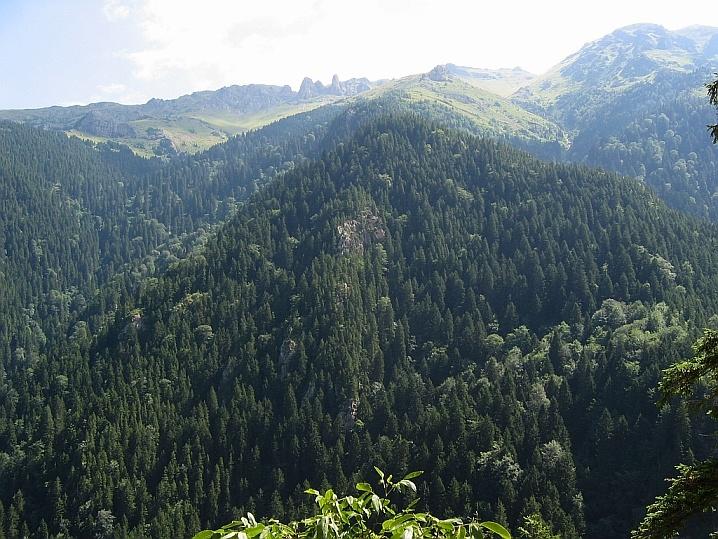 Derin topraklı çığ yolları