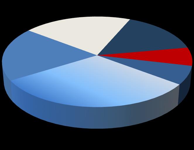 Gelir Dağılımı Yolcu Gelirinin Bölgesel Dağılımı Yolcu 85,6% Kargo 9,4% Charter 0,7% Ġç Hatlar 19% Uzak Doğu 21%