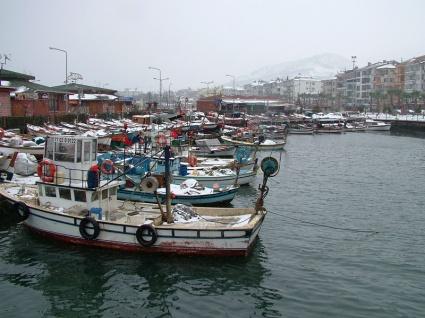 20 10 Faaliyet Raporu Karamürsel Belediye