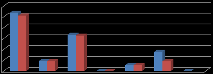 6-B- GĠDER BÜTÇESĠNE GÖRE GERÇEKLEġME TABLOSU 2010 yılı faaliyet dönemi içinde 12.000.