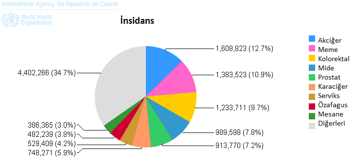 10 yıllık sağkalım oranının %5-10 olduğu bildirilmiştir. Erkekler arasında her yıl tahminen 960.000 yeni olgu ve 850.000 ölüm, kadınlar arasında 390.000 yeni olgu ve 330.