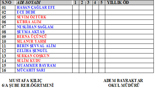 6-A SINIFI PROJE