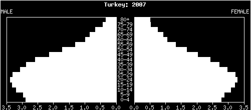 1935 Yılı Türkiye Nüfus Piramidi 2007 Yılı Türkiye Nüfus